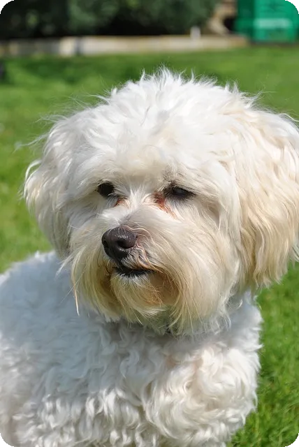 12도 옷차림으로 봄 패션 완벽 준비하기