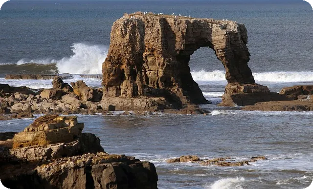 12도 옷차림으로 봄 패션 완벽 준비하기