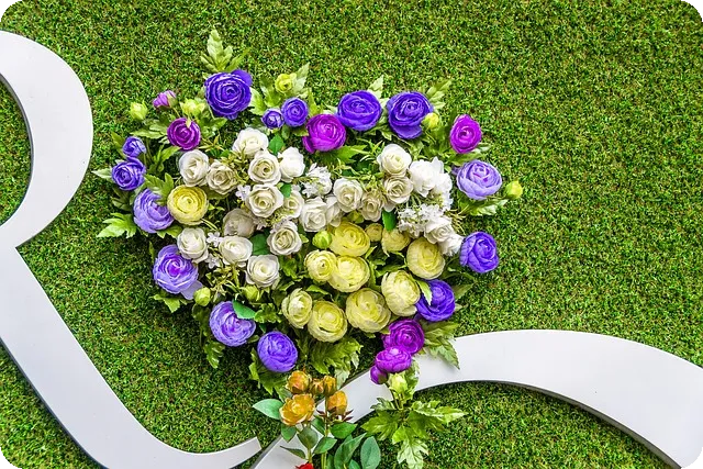 벚꽃 매화 차이 개화 시기와 꽃말은?