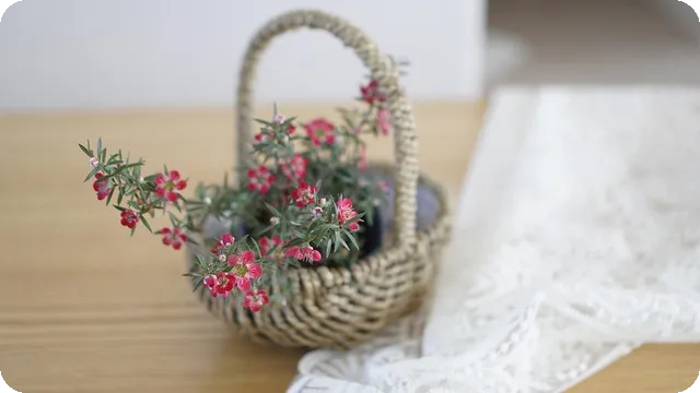 의정부 벚꽃 명소 탐방, 어디가 좋을까?