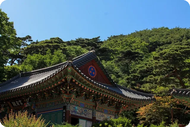 대법원 로그기록 서명운동, 왜 중요한가