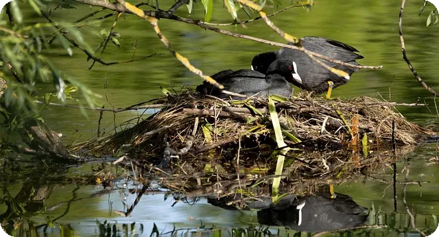 헤르페스 입술 성병 증상과 치료법은?
